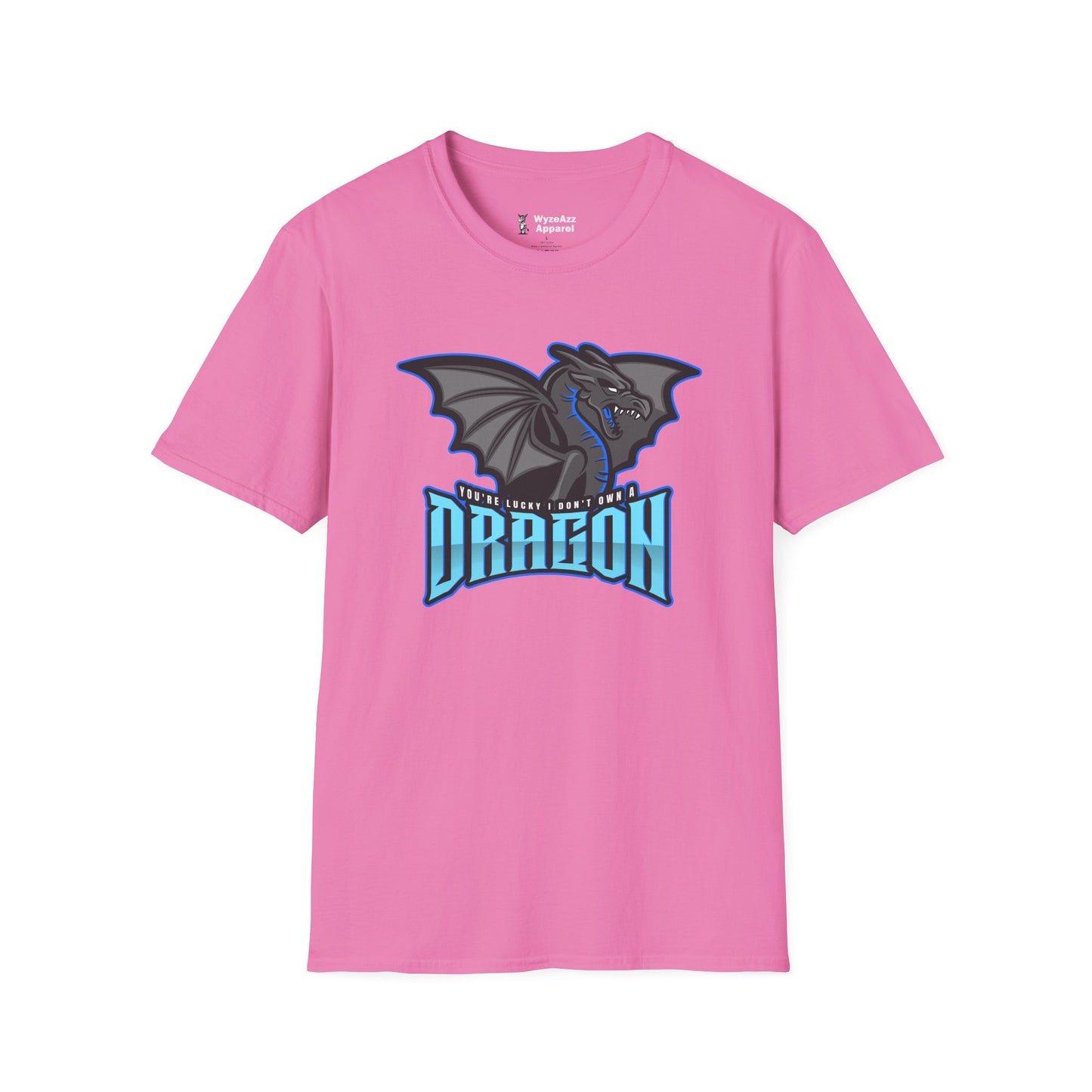 You're Lucky I Don't Own A Dragon T-Shirt