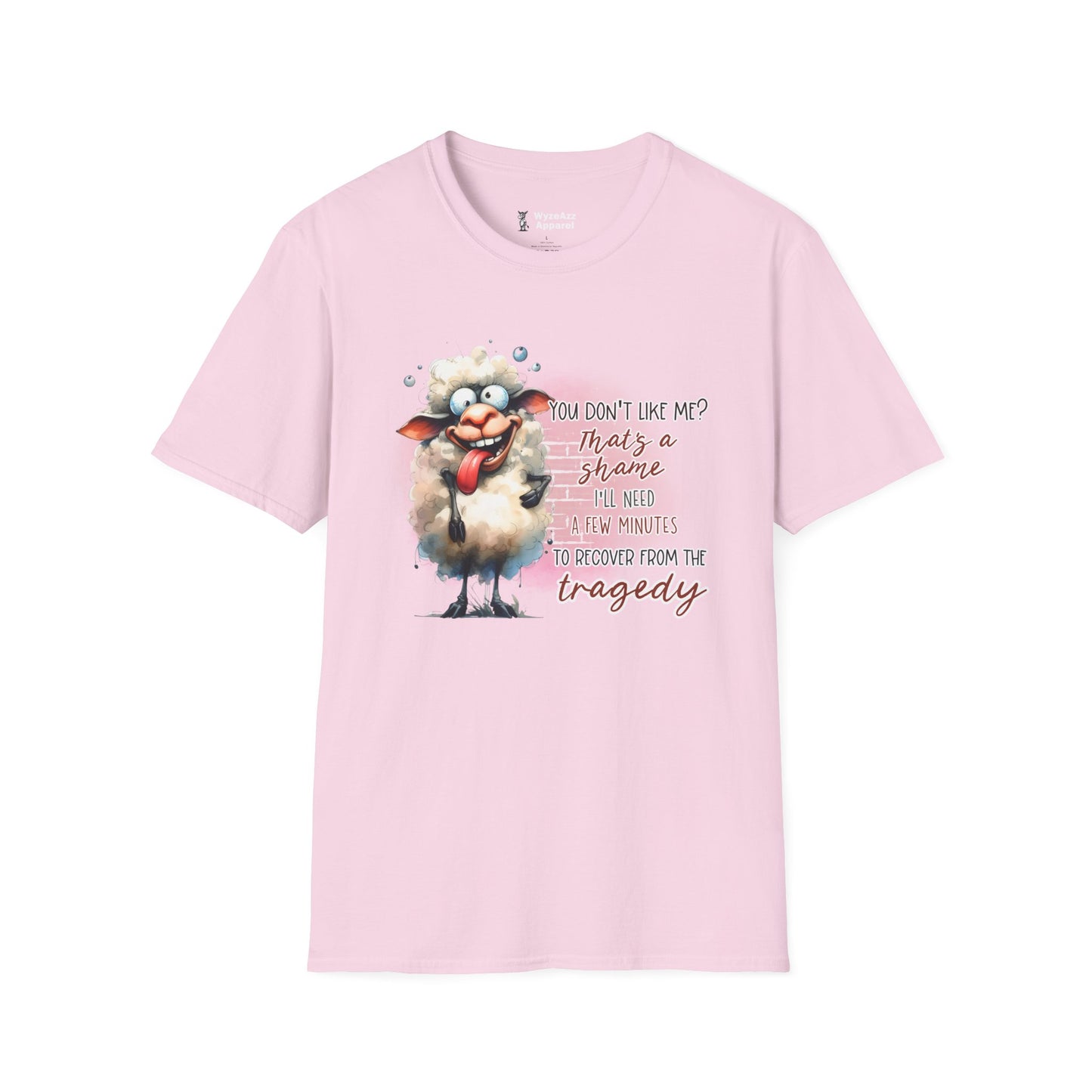 Don't Like Me? That's A Shame T-Shirt