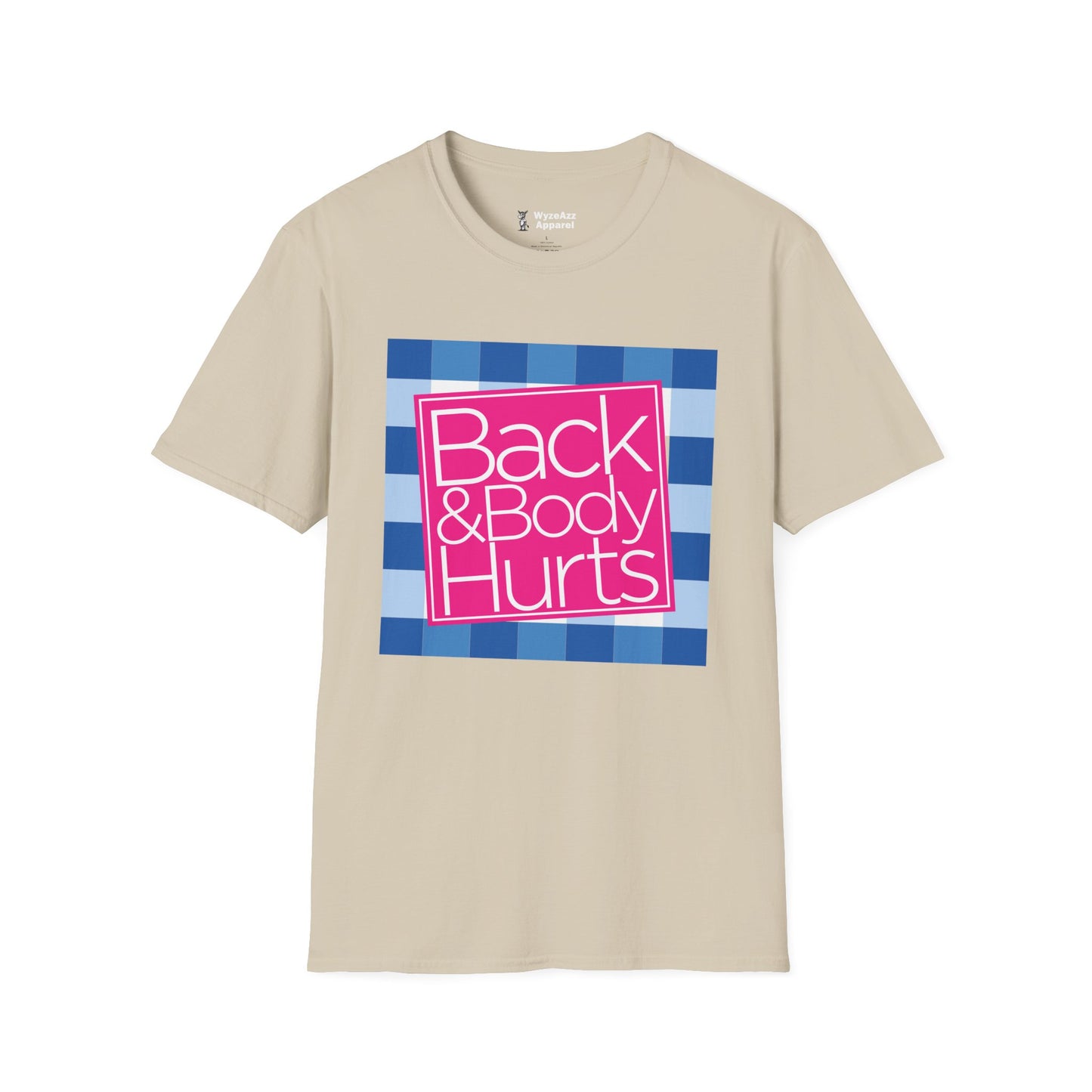 Back and Body Hurts T-Shirt