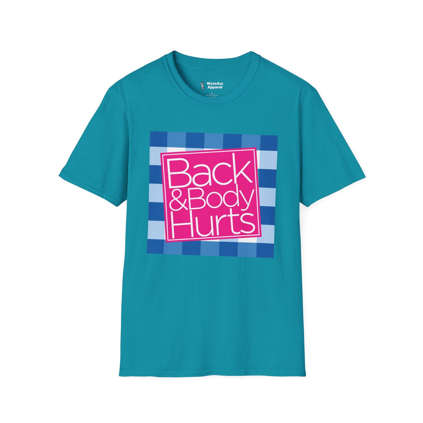 Back and Body Hurts T-Shirt